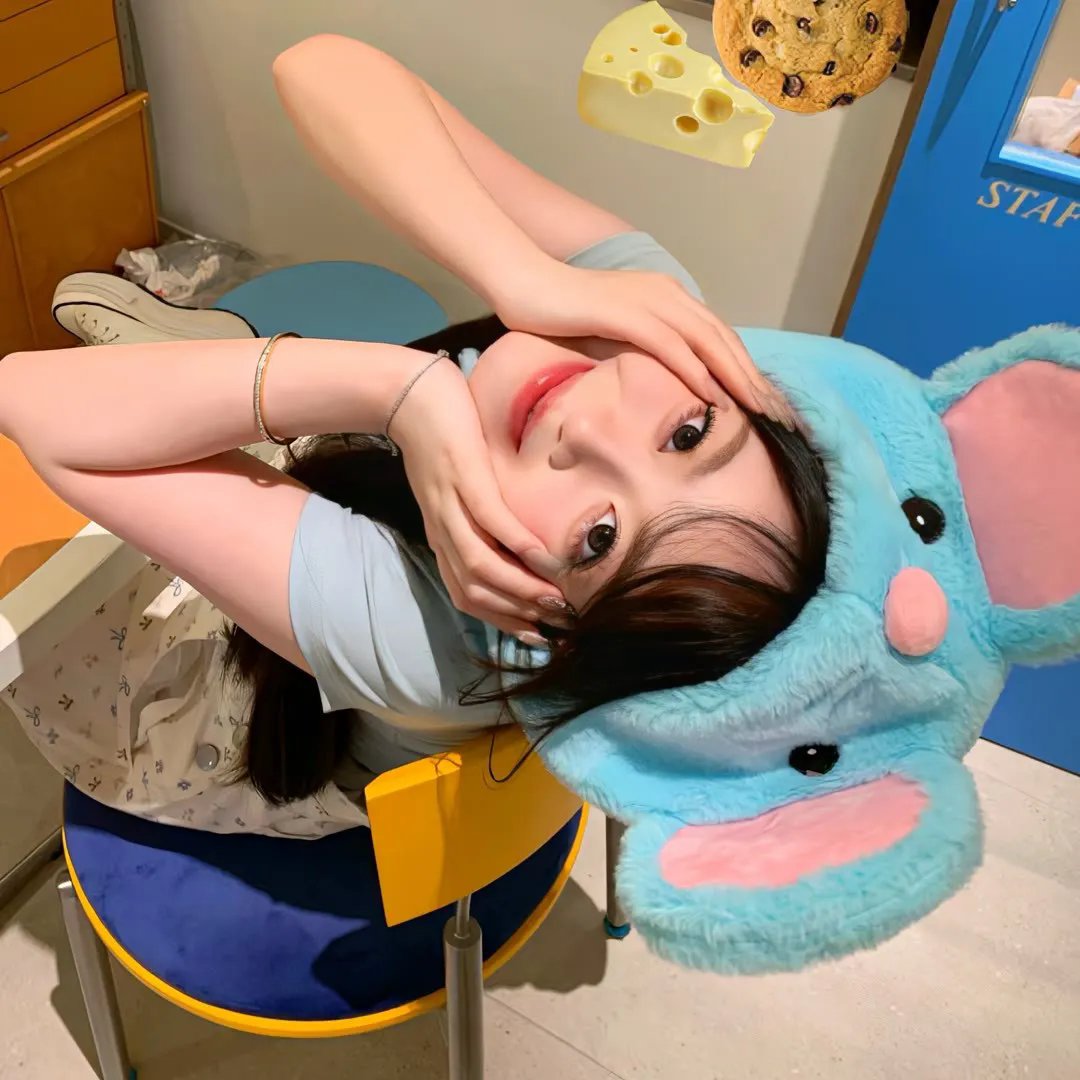 完美的主人